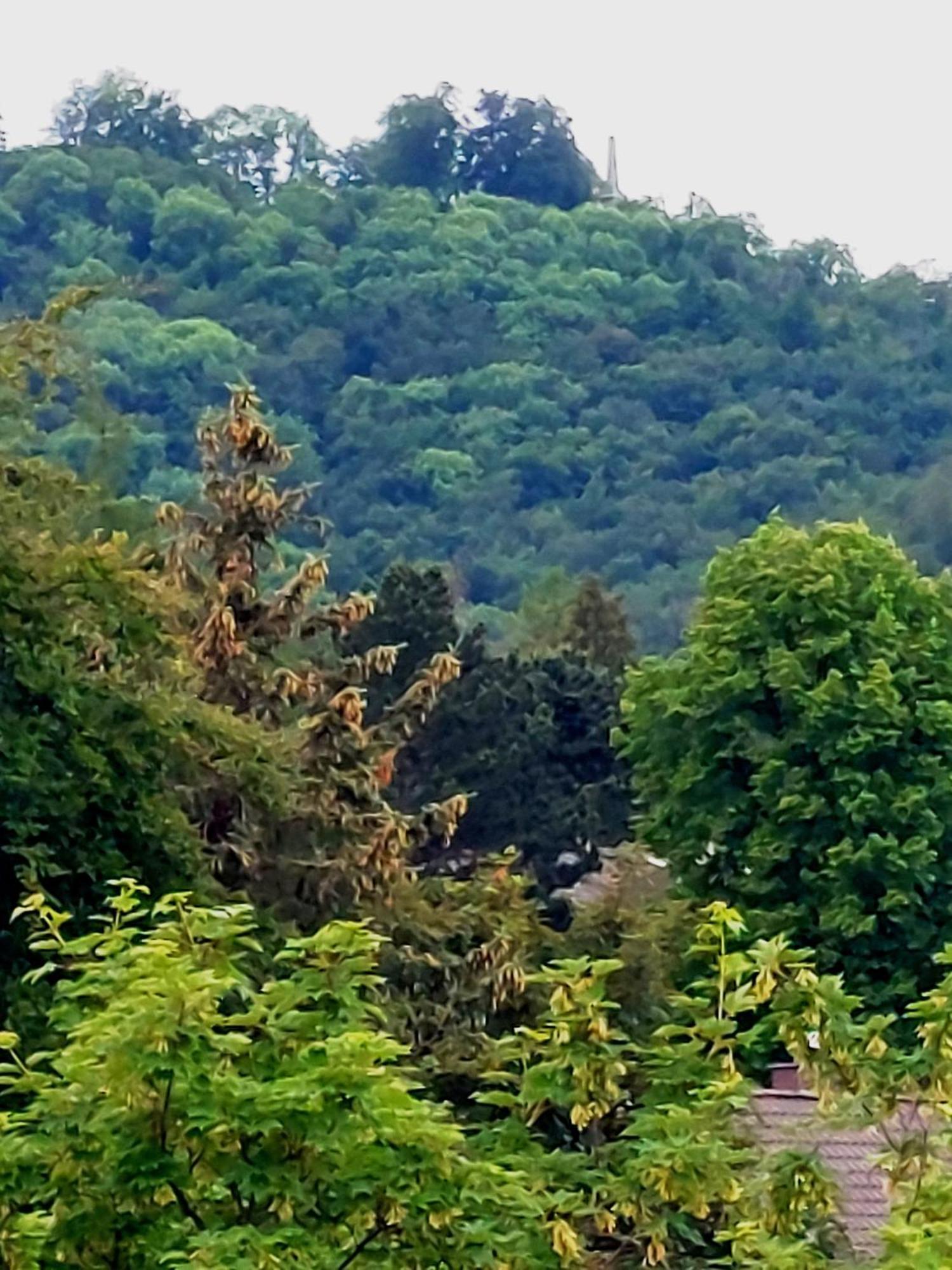 Apartment Burgberg-blick
