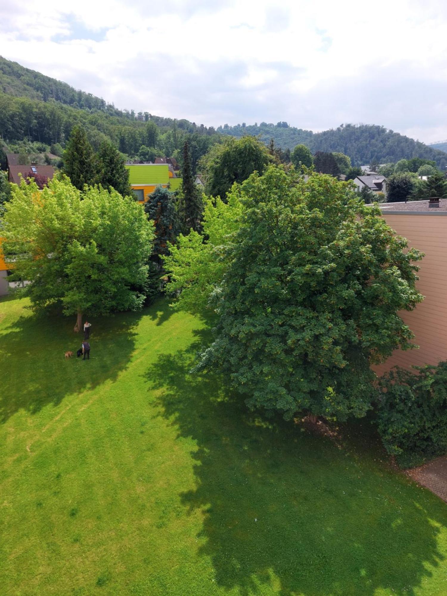 Burgberg-blick *
